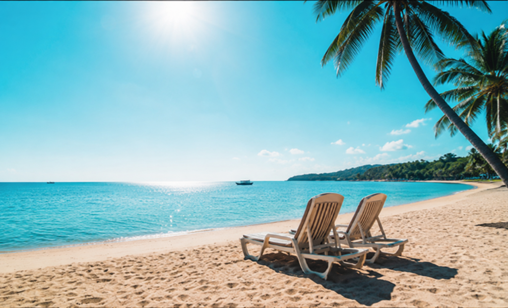 plage blog