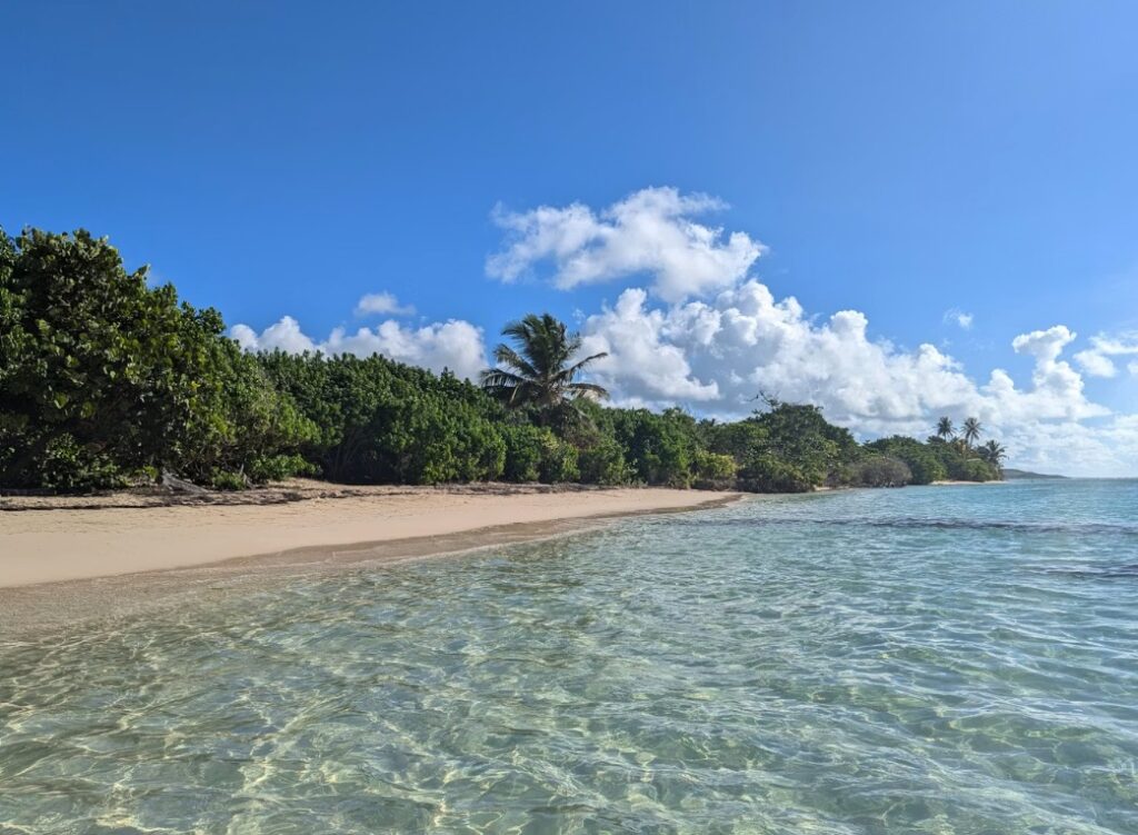 Plage Bois Jolan Bois Jolan Guadeloupe