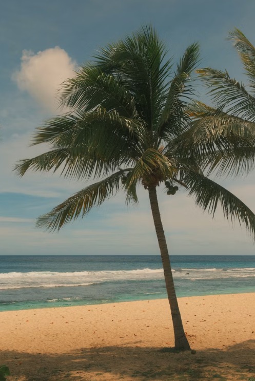 Atterissage en Guadeloupe