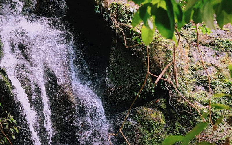 cascade foret tropicale guadeloupe